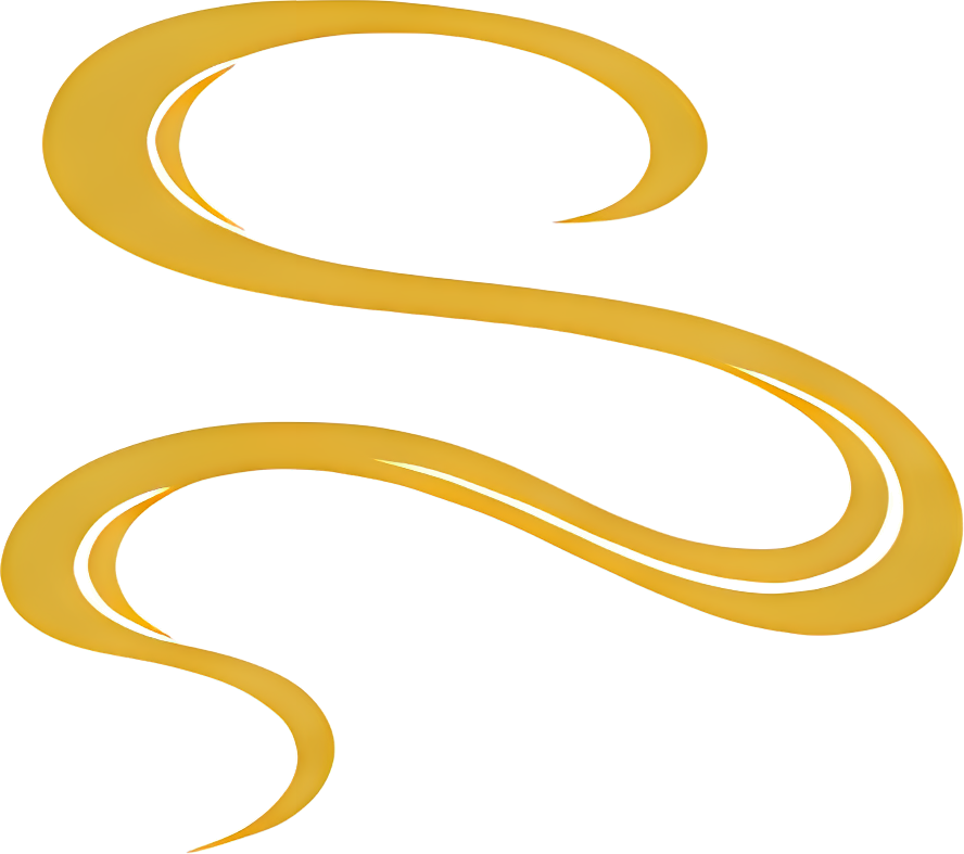 golden curved flowing abstract art icon Minimalist Dragon Boat Festival illustration flat design