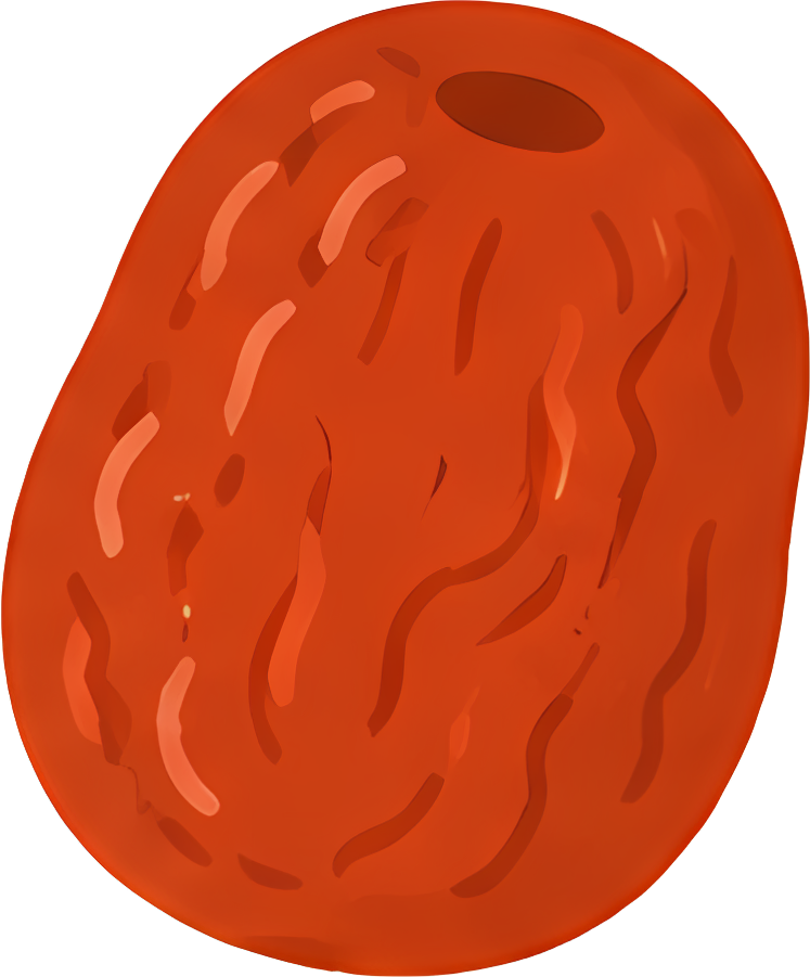 red date dried fruit red oval textured Dragon Boat Festival
