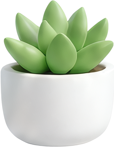 succulent plant green potted plant white pot indoor decoration Plants Foliage Plants