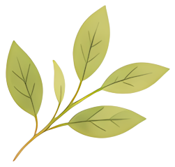 leaf plant green stem nature