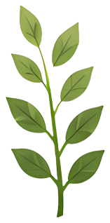 green leaf plant stem nature fresh Plants leaf