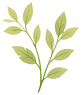 green leaves stem plant nature fresh Plants leaf