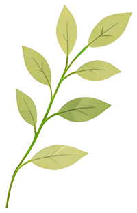 leaf stem green plant nature Plants