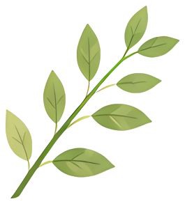 green leaf branch plant nature fresh Plants leaf