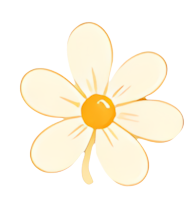 white flower five-petal flower yellow center minimalist style natural element