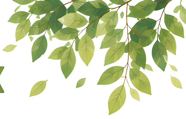 green leaves plant nature fresh branches Plants leaf