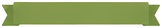 Title Bar