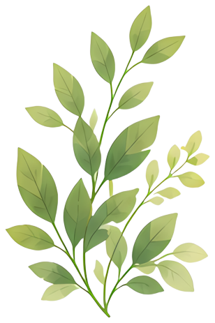 green leaves plant stem nature fresh Plants leaf