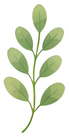 green leaf plant stem nature foliage Plants leaf
