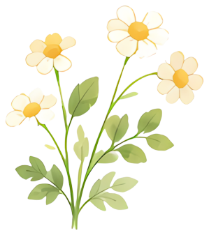 daisy white petals yellow center green leaves plant illustration Flowers Plants Styles and Forms leaf plant