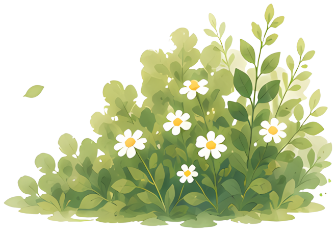 greenery daisies nature fresh garden Decor and Ornaments Home Goods Flowers Plants leaf plant