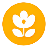 icon circular yellow flower