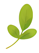 leaf green leaf cartoon