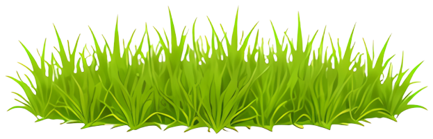 grass greenery nature lawn plant Decor and Ornaments Home Goods texture Plants
